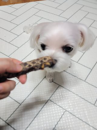 두부님이 올린 리뷰 사진 3