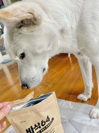 Jenny님이 올린 리뷰 사진 1