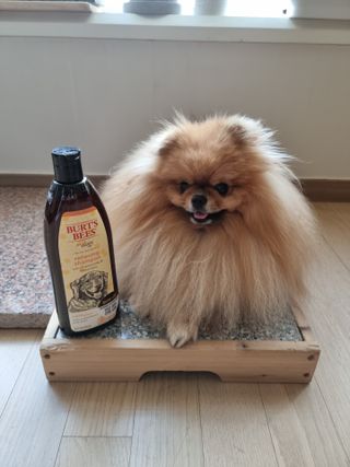 아롱이님이 올린 리뷰 사진 1