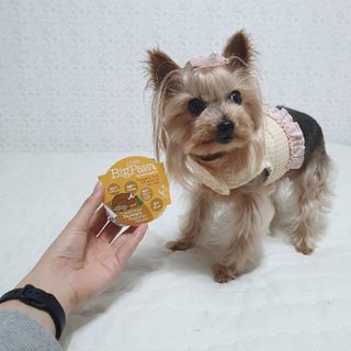 솜희님이 올린 리뷰 사진 4