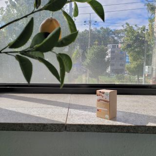 슬림플래닛 잔티젠 600mg 굿밤 다이어트 — 5점을 준 리뷰어가 2021년 10월 올린 사용 사진
