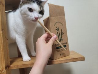 라일리님이 올린 리뷰 사진 3