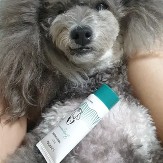 BlossomY님이 올린 리뷰 사진 1