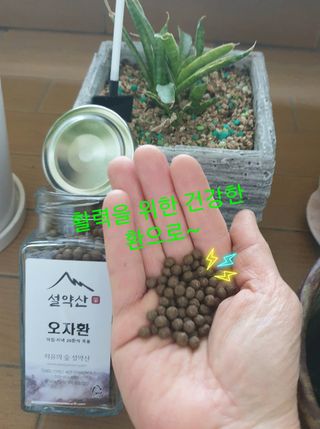 참살이님이 올린 리뷰 사진 4