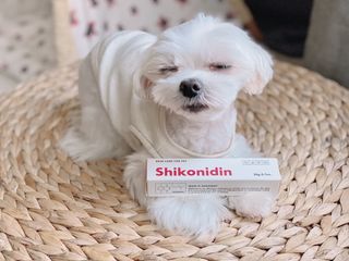 [자유펫] 시코니딘 고양이 강아지 피부 보습 연고 20g — 5점을 준 리뷰어가 2021년 10월 올린 사용 사진