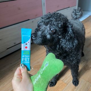 펫시랩 반려견용 액상 프리바이오틱스 아쿠아펫 — 3.5점을 준 리뷰어가 2021년 2월 올린 사용 사진