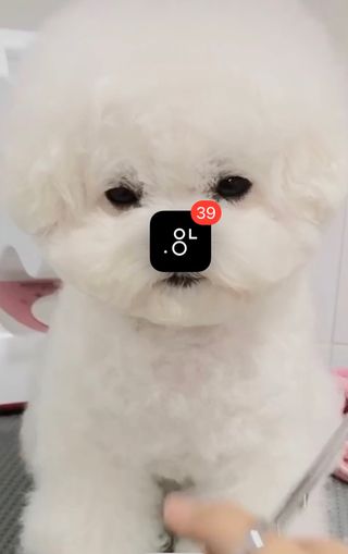 0.8L 마케팅팀 - — 5점을 준 리뷰어가 2021년 5월 올린 사용 사진