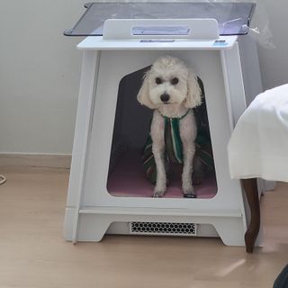 캐스퍼님이 올린 리뷰 사진 2