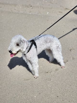 윤희님이 올린 리뷰 사진 3