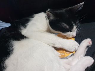 퓨리아님이 올린 리뷰 사진 2
