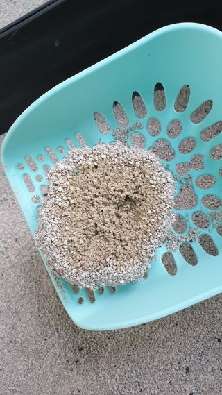 겟플렉스 켓플렉스 캣츠룸BS-1 고양이모래 4kg — 5점을 준 리뷰어가 2021년 2월 올린 사용 사진