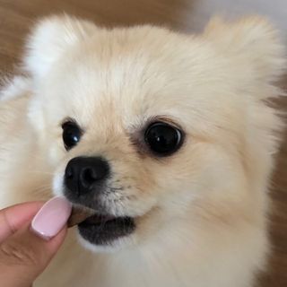abiing님이 올린 리뷰 사진 1