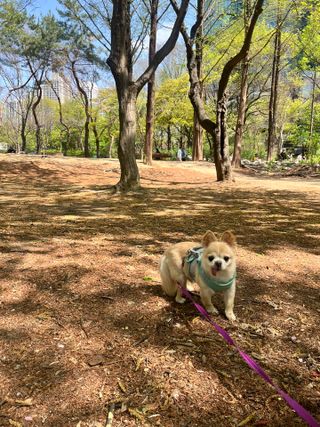 Lucy님이 올린 리뷰 사진 3