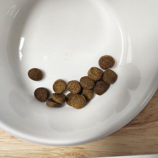 캐닌캐비어 알카라인 홀리스틱 그레이프리 앙뜨레 ALS_4종 오픈스카이, 와일드오션, 프리스피릿, 스페셜니즈 — 5점을 준 리뷰어가 2023년 6월 올린 사용 사진