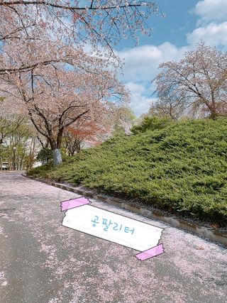 0.8L 마케팅팀 - — 5점을 준 리뷰어가 2021년 5월 올린 사용 사진