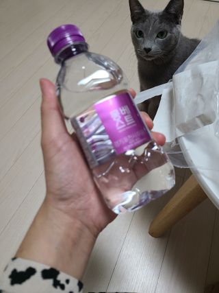 몽베스트 [MONTBEST] 330mL 20병 — 5점을 준 리뷰어가 2021년 10월 올린 사용 사진