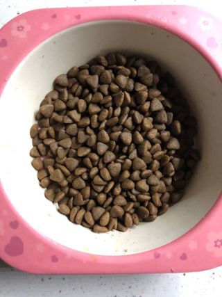 다솜이마마님이 올린 리뷰 사진 3