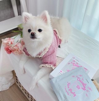 YulaVonvon님이 올린 리뷰 사진 2