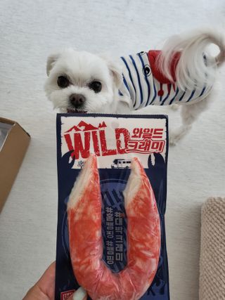 뽀오오옹님이 올린 리뷰 사진 4