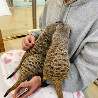 옐스님이 올린 리뷰 사진 3