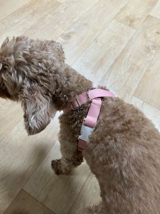 행복나무님이 올린 리뷰 사진 2