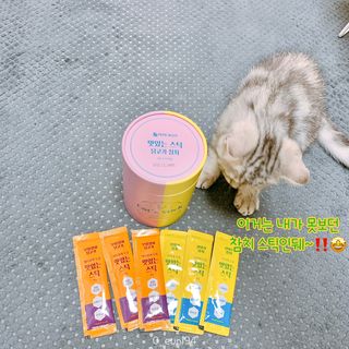 페페로니 맛있는 스틱 - 무항생제 닭고기 15개 + 원양선 참치 15개 — 5점을 준 리뷰어가 2021년 10월 올린 사용 사진