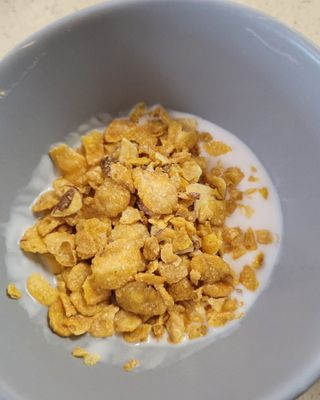 숲골 임실치즈마을 프로바이오 요거트 900ml — 5점을 준 리뷰어가 2021년 8월 올린 사용 사진