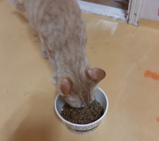 moomoon님이 올린 리뷰 사진 3