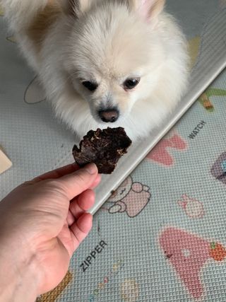 [졸리졸리] 말고기 육포 간식 (HORSE MEAT JERKY) — 5점을 준 리뷰어가 2023년 1월 올린 사용 사진
