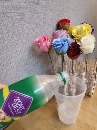 몽베스트 Montbest with Sparkling water Lemon OR Lime 20병(랜덤) — 5점을 준 리뷰어가 2021년 10월 올린 사용 사진