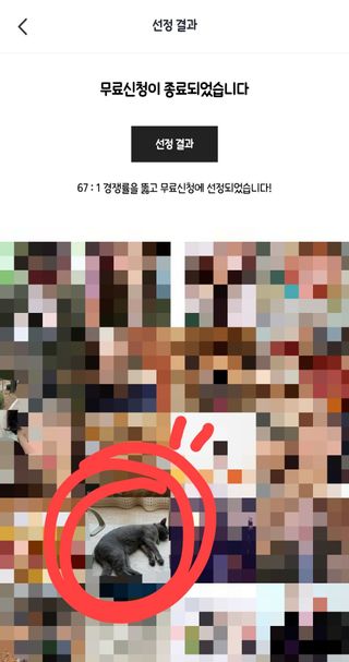 샤샤이모 🧡💛님이 올린 리뷰 사진 2