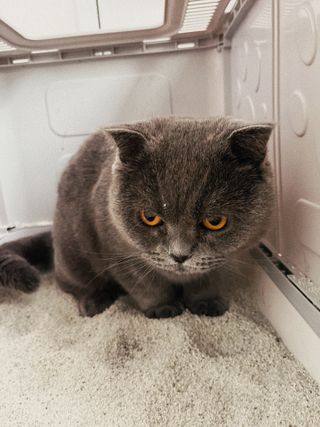 라기라기님이 올린 리뷰 사진 3