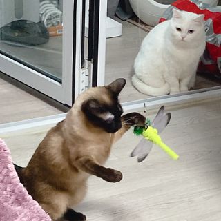 ojs226님이 올린 리뷰 사진 1