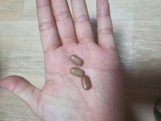 슬림플래닛 녹차카테킨 500mg 애프터밀 — 3.5점을 준 리뷰어가 2021년 9월 올린 사용 사진