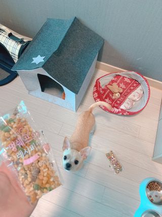 스티치님이 올린 리뷰 사진 1