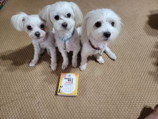 공팔리터님이 올린 리뷰 사진 3