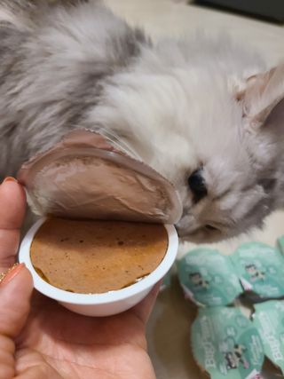박오뎅님이 올린 리뷰 사진 4