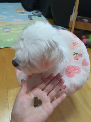단츄♡님이 올린 리뷰 사진 3