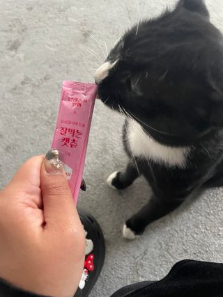 순이츠님이 올린 리뷰 사진 2