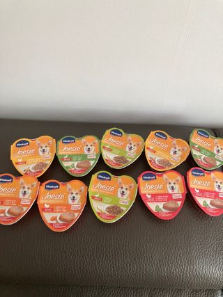 비타크래프트 조에시 하트캔 85g 강아지 습식캔 10캔 — 5점을 준 리뷰어가 2021년 10월 올린 사용 사진