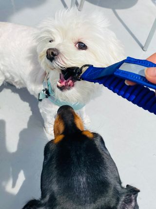 해바라기햇님님이 올린 리뷰 사진 3