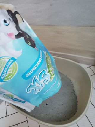 보리엄마님이 올린 리뷰 사진 3