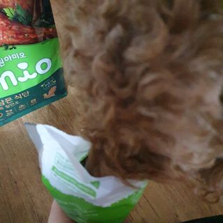 콩콩이님이 올린 리뷰 사진 4