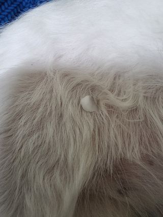 언제나피터팬님이 올린 리뷰 사진 4