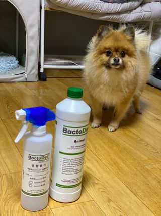 눕히님이 올린 리뷰 사진 1