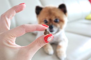 꿀냥이님이 올린 리뷰 사진 3