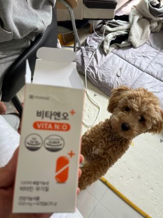 프리마인 성큼다가온 봄, 이너뷰티를 챙겨야 피부도 화사하게, 컨디션도 활기차게. 흡수율을 높인 고효율 비타민. — 5점을 준 리뷰어가 2023년 5월 올린 사용 사진