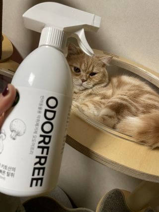 럽S하3님이 올린 리뷰 사진 4