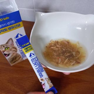 씨디랩 구강에서 장까지 한 번에 관리하는 더블락토 강아지 고양이 유산균 — 5점을 준 리뷰어가 2021년 6월 올린 사용 사진