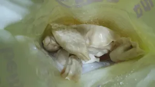 쓩님이 올린 리뷰 사진 2